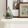 thumbnail image 4 of DesignOvation 9"H Tabletop Glass Terrarium with Artificial Succulent Trio, 4 of 8