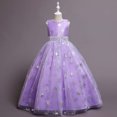 thumbnail image 4 of EGNMCR Vêtements pour Bébé Fille Robe pour Enfants Fille Sans Manches Robe de Princesse Motif Flocon de Neige Imprimé Tulle Longue Robe Canoniques, 4 of 9