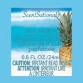 thumbnail image 4 of Huile Scent Charm ScentSationals - Sea Seeker, 4 of 6