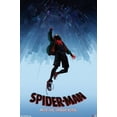 thumbnail image 1 of Marvel Spider-Man: Into The Spider-Verse - Falling Wall Poster, 22.375" x 34", 1 of 4