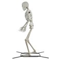 thumbnail image 2 of Squelette articulé de 3 m, couleur os — Décoration d'Halloween par Way to Celebrate, 2 of 7