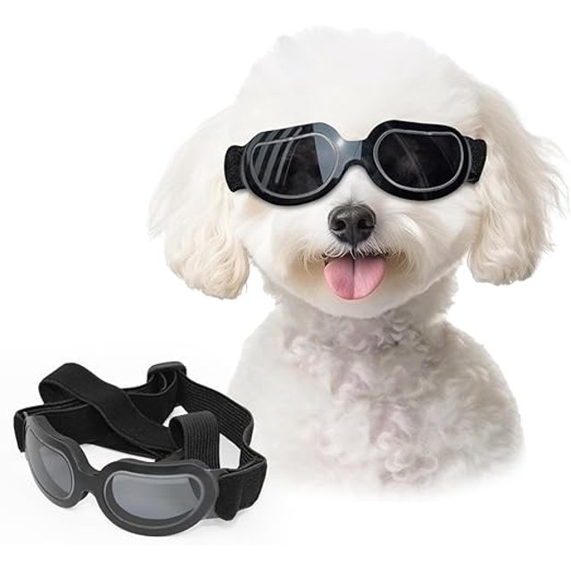 YSTIANN Lunettes pour Chiens, pour Petites Races - Lunettes de Conduite Coupe-Vent Ajustables AZ78-3378
