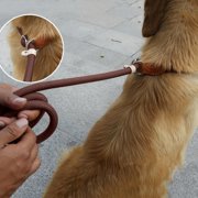 REK Flush P Chain Leash Nylon Sewn Leather Pet Dog Leash Extended Thick Training Dog Leash Leash P Rope