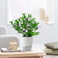 thumbnail image 4 of Self Watering Planter, Wick Rope Water Culture Planter for Indoor Plants, Stackable Planter for Home Decor and Plant Care, 4 of 6