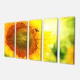 thumbnail image 2 of Sunflower Blooming on Field - Large Animal Canvas Art Print, 2 of 3