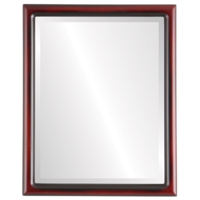 Pasadena Framed Mirror - Rosewood