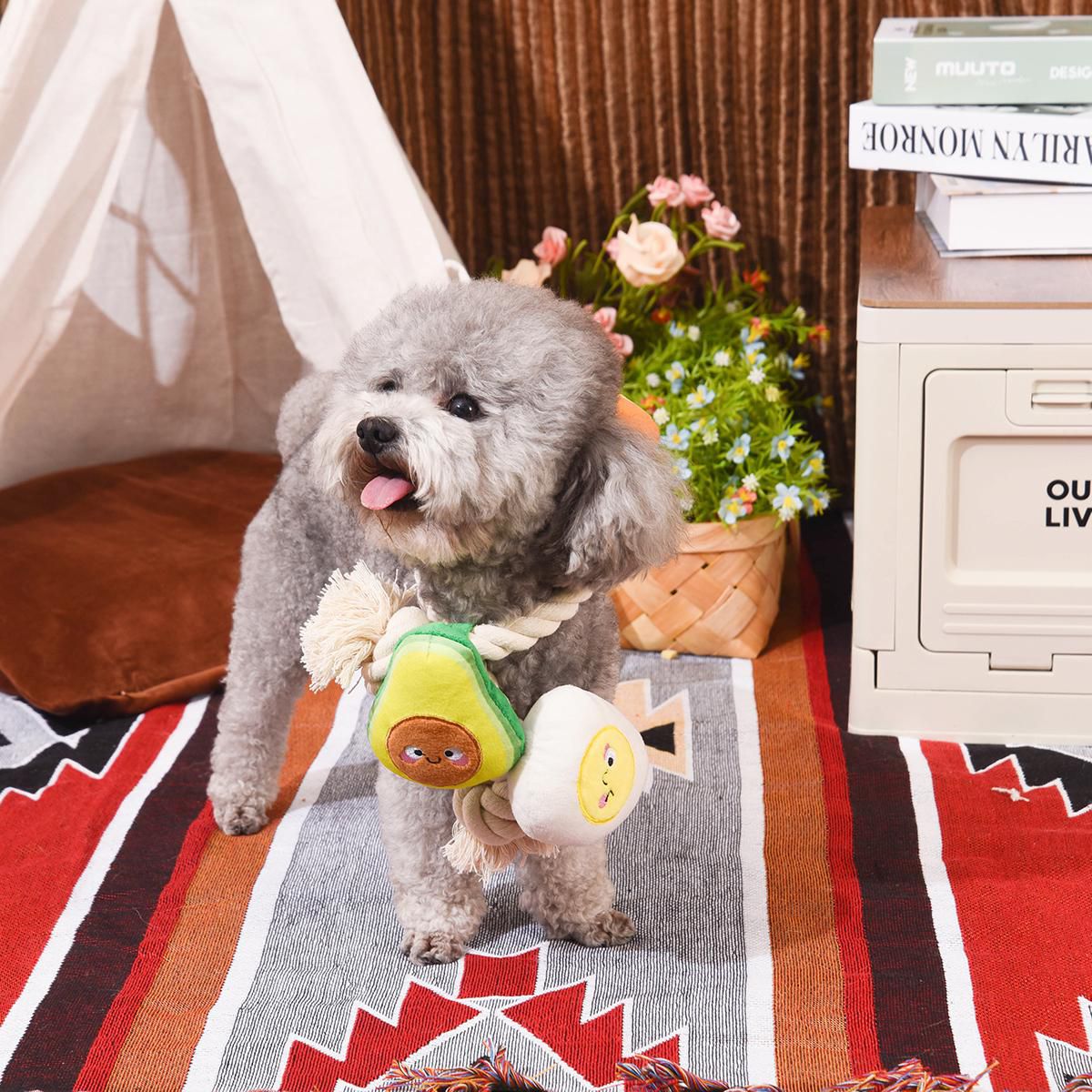Hugsmart Toast et œuf Jouet à tirer et corde pour chien