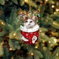thumbnail image 4 of Christmas Decorations Acrylic Stockings for Cats - Tree Hangs Festive Crafts Unique Holiday for Home Decoration, 4 of 4
