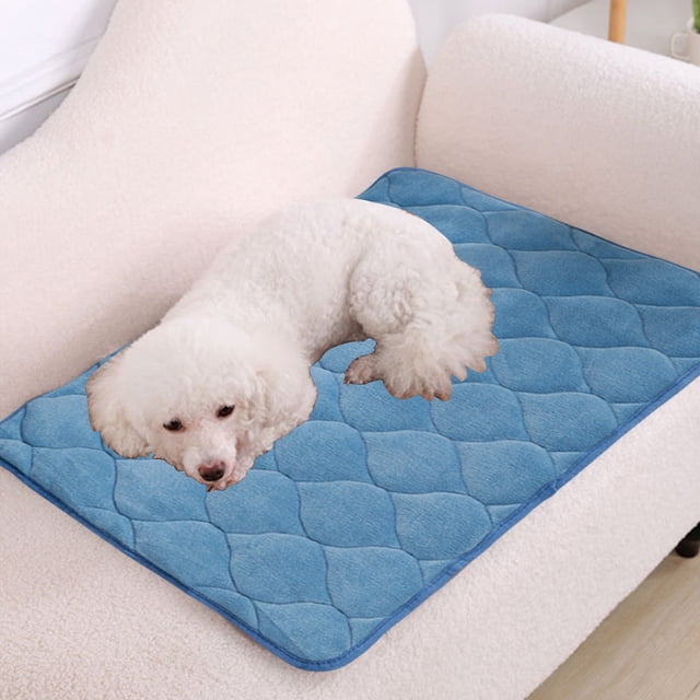Meitianfacai Winter Plush Pet Mat Cats Mat Dog Mat Kennel Mat Winter Warm Wear Counteractive Scratch Counteractive Biting Counteractive Washable Puffy Mat, Bleu
