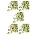 thumbnail image 1 of Maytalsory 400piece Transformer n'Importe Quel Cadre avec de Faux Pétales Scatter Fruits Réutilisables Vert Assorticouleur 5Set, 1 of 6
