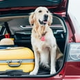 thumbnail image 4 of SUTENGDA 3 Paquets Traqueur Intelligent Localisateur de Clés Multicolore Traqueur GPS Sans Fil Mini Dispositif de Capteur d'Alarme Anti-Perte Chercheur à Distance Chercheurs d'Objets pour Enfants Animal de Compagnie Chien Chat Clé Téléphone Voiture Portefeuille L, 4 of 7