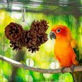 thumbnail image 1 of Birdeem Jouet Pomme de Pin Fournitures Apaisantes, 1 of 9