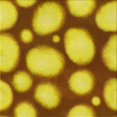thumbnail image 1 of Ahgly Tapis de Zone Carré Jaune Transitionnel Lavable en Machine, 8 Pieds Carré, 1 of 7