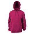 thumbnail image 1 of Soffe Chandail à Capuchon en Molleton d'Entraînement pour Hommes - 9388, 1 of 1