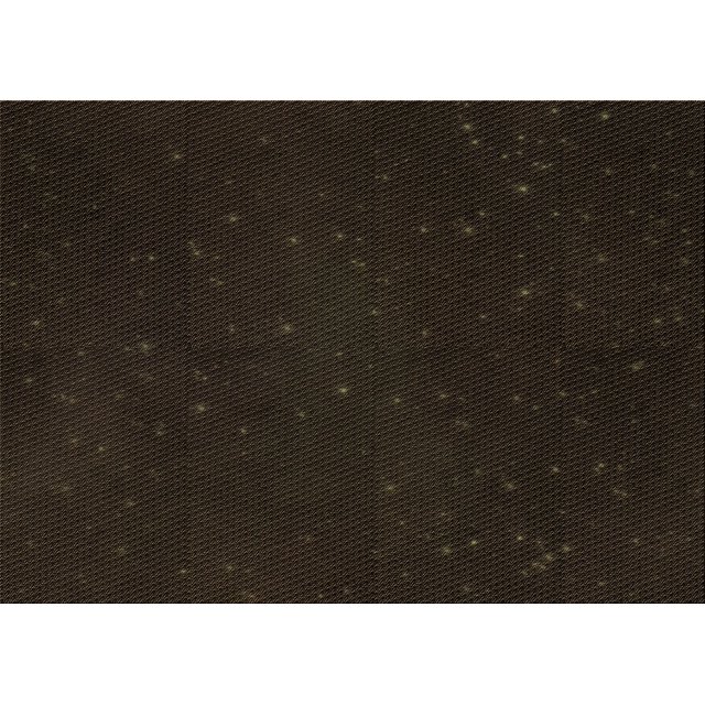 Ahgly Company Tapis d'Intérieur Lavables en Machine Rectangulaire Transitionnel Brun Chocolat, 2' x 5'