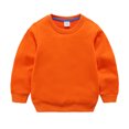 thumbnail image 3 of LSLJS Toddler Baby Boy Girl Fleece Pullover Sweatshirt Solid Color Crewneck Blouse Shirt Tops Warm Fall Winter Clothes, 3 of 5