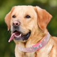 thumbnail image 4 of CHOK Collier pour Chien Collier pour Chat Nœud en Strass Collier pour Animal Rose TP, 4 of 6