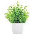 thumbnail image 2 of Bgsha Décoration Intérieure Petite Plante de Lavande et d'Eucalyptus en Pot au Design Réaliste, 2 of 10