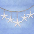 thumbnail image 2 of 30 Pieces creamy-white Pencil Finger Starfish for Wedding Decor, Home Decor And Craft Project, 2 of 6