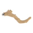 thumbnail image 1 of Natural Wood Pet Parrot Stand Toy Parrots Unique Shape Perches for Bird Cage 2.5x30cm, 1 of 8