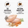 thumbnail image 2 of Beyond Simply Farm-Raised Chicken & Whole Barley Recipe, Dry Dog Food 10.8KG, 2 of 9