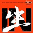 thumbnail image 1 of Stray Kids - [In (In Life]] 1er Album Version Aléatoire Normale, 1 of 2
