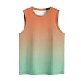 thumbnail image 4 of Plebaso Débardeurs 2025 pour Femmes Sans Manches à Col Rond T-Shirts Décontractés à Imprimé Dégradé Blouses d'Été T-Shirts, 4 of 4