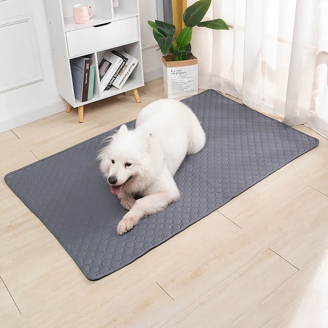 Tapis d'Urine pour Animaux Épaissi pour Désodorisation et Absorption Instantanée de l'Eau, Lavable et à Séchage Facile, Tapis d'Urine Réutilisable pour Chien et Tapis d'Urine
