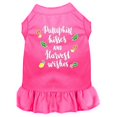 thumbnail image 1 of Pumpkin Kisses Screen Print Dog Dress Bright Pink 4X (22), 1 of 1