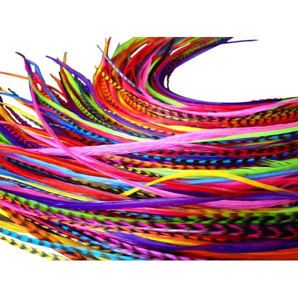 Feather Hair Extensions, 100% Real Rooster Feathers, Long Rainbow Colors, 20 Feathers with Bonus FREE Beads and Loop Tool Kit, By Feather Lily RAIN