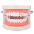 thumbnail image 4 of Single Teeth Grillz Cap Set Decorative Creative Bottom Grill Top Teeth Grillz, 4 of 10