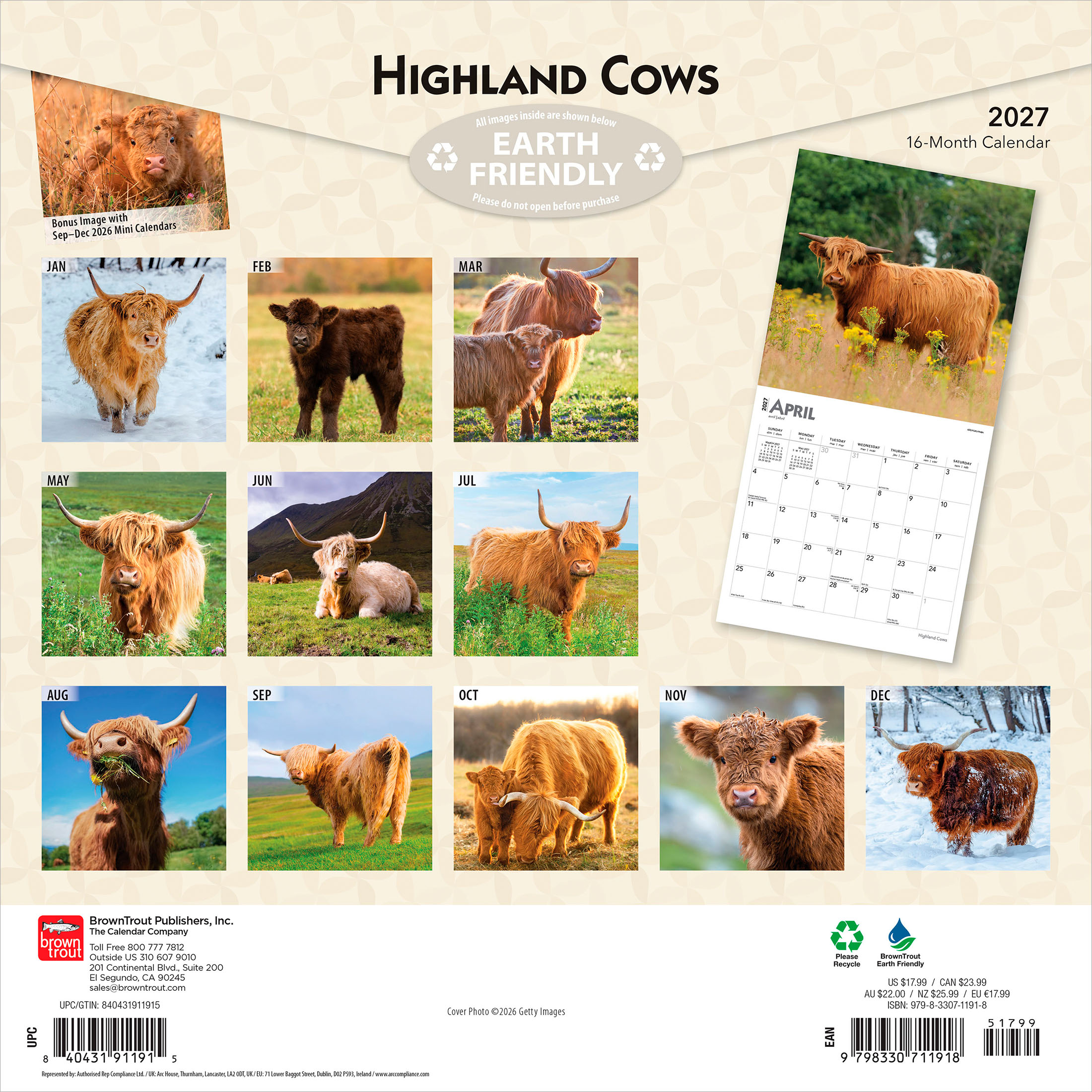 Vaches des Highlands 2027 Format carré