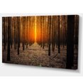 thumbnail image 2 of Halloween Themed Spooky Dark Forest - Oversized Forest Canvas Art, 2 of 3