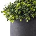 thumbnail image 2 of Better Homes and Gardens Topiaire - courbé avec pot noir, 2 of 8