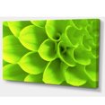 thumbnail image 2 of Bright Green Flower Petals - Floral Canvas Art Print, 2 of 3