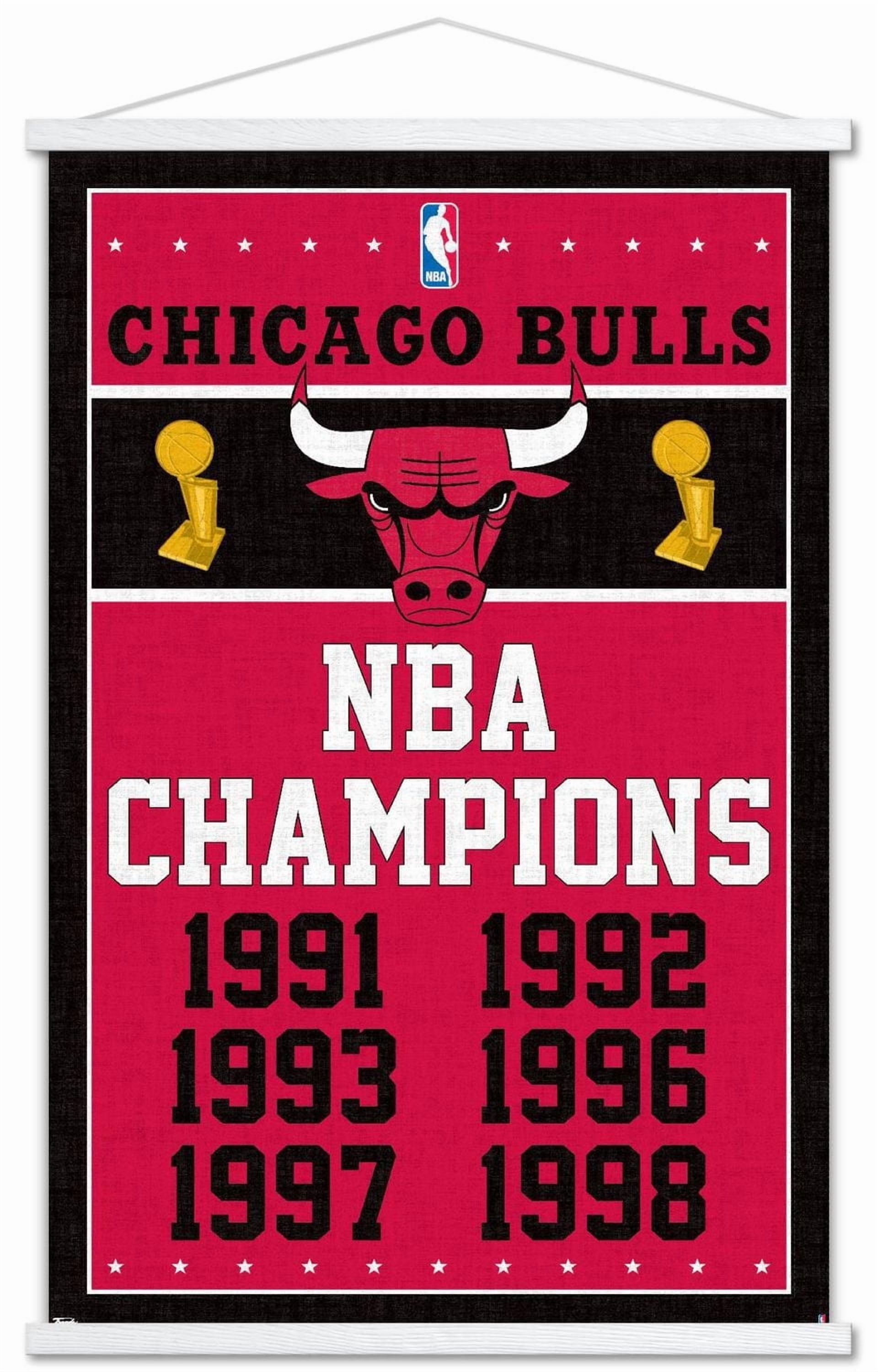 NBA Chicago Bulls - Champions 13
