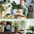 thumbnail image 4 of DEBGFS 4 Pcs Small Metal Plant Trellis for Indoor Potted Plants Trellis for Climbing Plants Indoor House Plant Trellis Indoor Plant Support Stake for Small Planter,glod, 4 of 6