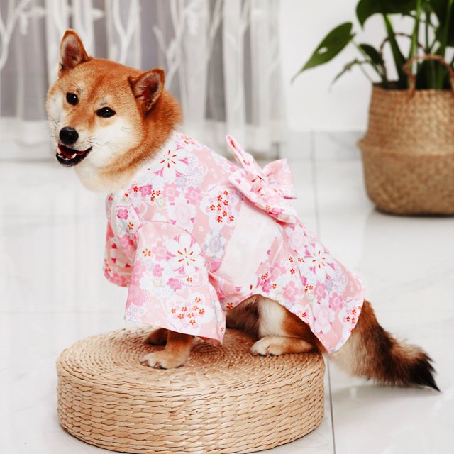 Cat Kimono Japanese Style Bow-knot Decor Fabric Two-legged Pet Costume Dress for Party