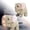 as the picture shows, variant on Lifelike Animated Walking Elephant Toy with Moving Head and Tail Interactive Stuffed Animal for Kids