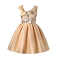 thumbnail image 1 of Robe Formelle Fille Sans Manches Robe de Bal Fille Robe en Tulle Robe d'Anniversaire pour Fille pour Filles 2-3 Ans, 1 of 4