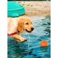 thumbnail image 1 of 1pc Squeaky Dog Toy Ball, Pet Molar Toy For Small Dogs, Spike Medium Size, , No Bpa, Suitable For Both Large And Small Breeds, 1 of 4