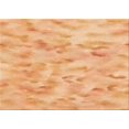thumbnail image 1 of Ahgly Company Tapis d'Intérieur Rectangulaire Transitionnel Orange Lavable à la Machine, 7 Pieds x 10 Pieds, 1 of 7