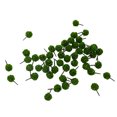 thumbnail image 2 of fastboy 50 Pieces Exquisite Ball Shaped Model Trees DIY Landscape Scenery N Scale Grass Green 1Set, 2 of 6