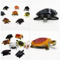 thumbnail image 4 of MasteelfCA 16 Pcs Jouets Tortue Factice Modèle Jouet Éducatif Animal Marin, 4 of 8
