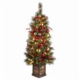 thumbnail image 1 of National Arbre 266734 4 Pi. Pin Dakota Arbre d'Entrée Artificiel, 1 of 1