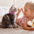 thumbnail image 4 of Visland Collier pour Chat avec Clochette Collier de Sécurité pour Chat Doux avec Boucle à Dégagement Rapide Collier en Nylon Ajustable pour Chats Chiot, 4 of 8