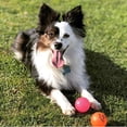 thumbnail image 2 of Fetch & Glow Ball Small 2-Pack Dog Toys, 2 of 4