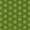 thumbnail image 1 of Ahgly Tapis d'Intérieur Lavable en Machine Carré Vert Algue, 8 Pieds Carré, 1 of 7