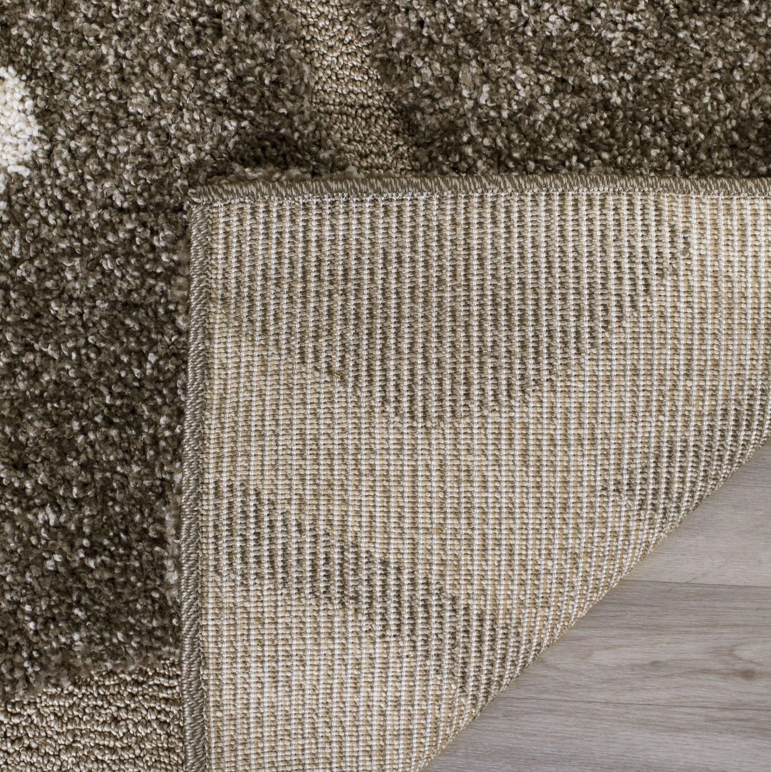 SAFAVIEH Florida Teodor Floral Shag Area Rug