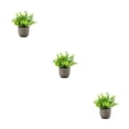 thumbnail image 4 of Decodeary Green Eco-friendly Artificial Money Tree In Pot Long-lasting Durability Realistic Appearance blue babysbreath 3Set, 4 of 6
